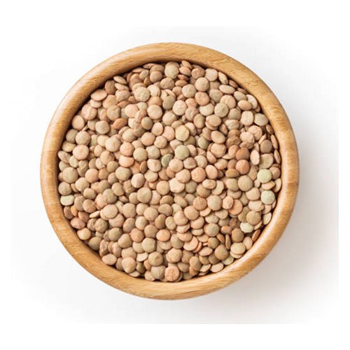 Lentejas